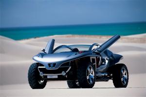 Peugeot Hoggar 2003 года